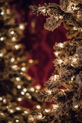 Green Christmas Tree Green Christmas Tree