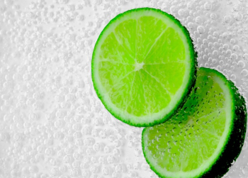 Green Citrus Fruit Slices Green Citrus Fruit Slices
