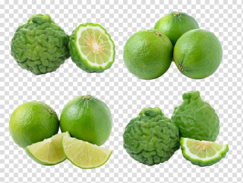 Green citrus fruits collage, Bergamot orange Fruit Auglis, Orange transparent background PNG clipart