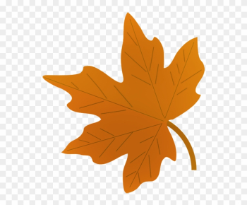 Green Fall Leaf Drawing - Draw A Autumn Leaf Green Fall Leaf Drawing - Draw A Autumn Leaf