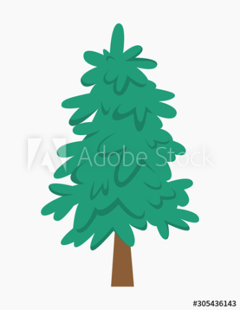 Green fir for christmas and new year celebration Green fir for christmas and new year celebration