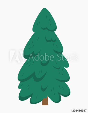 Green fir for christmas and new year celebration Green fir for christmas and new year celebration
