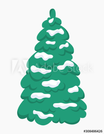 Green fir for christmas and new year celebration Green fir for christmas and new year celebration