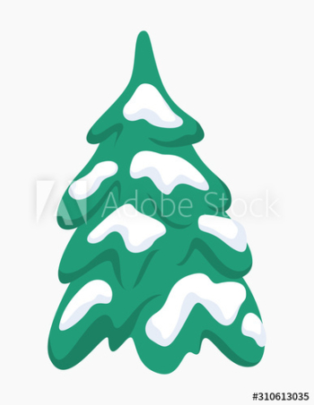 Green fir for christmas and new year celebration Green fir for christmas and new year celebration