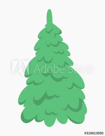 Green fir for christmas and new year celebration Green fir for christmas and new year celebration