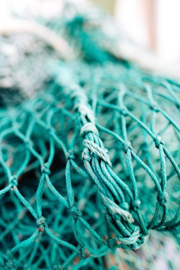 green fish net in shallow focus photography green fish net in shallow focus photography