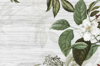 Green floral background | Free stock vector - 595520 Green floral background | Free stock vector - 595520