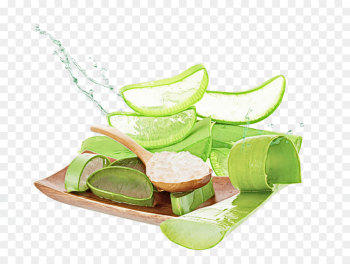 green food plant vegetarian food lime green food plant vegetarian food lime
