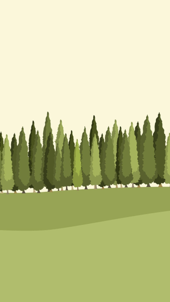 Green forest mobile wallpaper, aesthetic | Free Photo - rawpixel Green forest mobile wallpaper, aesthetic | Free Photo - rawpixel