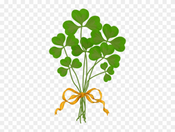 Green Four-leaf Clover Flower - Green Four-leaf Clover Flower Green Four-leaf Clover Flower - Green Four-leaf Clover Flower