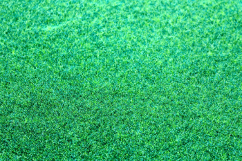 Green Grass Green Grass