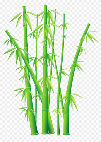 Green Grass Border Clipart Free Image - Vector Bamboo Png