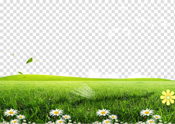 Green grass field, Green Lawn Poster , Posters flowers grass background transparent background PNG clipart