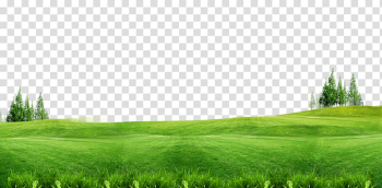 Green grass field, Lawn Gratis , Green grass background free of material transparent background PNG clipart