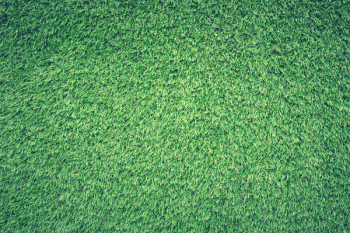 Green Grass Lawn Green Grass Lawn
