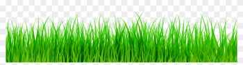 Green Grass Png Clip Art - Grass Clipart Png