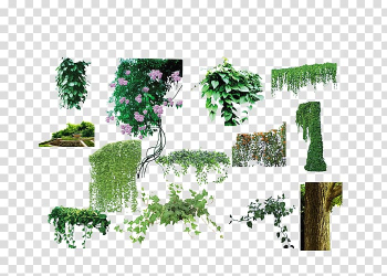 Green grass , Tree Vine Plant Flower, Vine flowers and trees collection transparent background PNG clipart