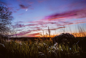 green grass under moonlight sky green grass under moonlight sky