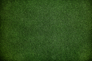 Green Lawn Grass Green Lawn Grass