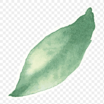 Green leaf botanical transparent png watercolor sticker Green leaf botanical transparent png watercolor sticker
