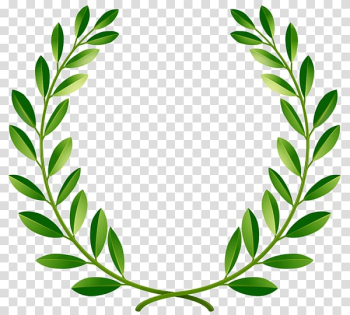 Green leaf illustration, Bay Laurel Laurel wreath , Greenpeace olive branch transparent background PNG clipart