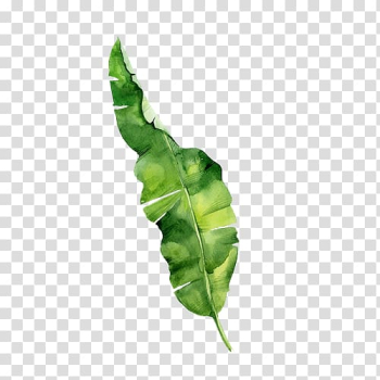 Green leaf illustration, Leaf Watercolor painting Tropics, Leaf transparent background PNG clipart