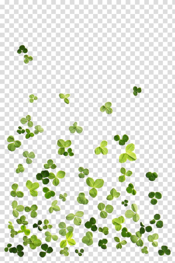 Green leaf lot illustration, Four-leaf clover Four-leaf clover, Clover leaves transparent background PNG clipart