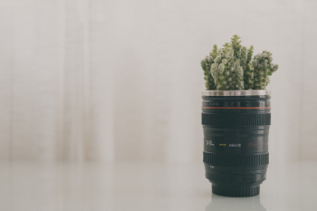 Green Leaf Plant in Black Camera Zoom Lens Plant Pot Screenshot