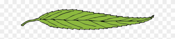 Green, Leaf, Plant, Single - Green, Leaf, Plant, Single Green, Leaf, Plant, Single - Green, Leaf, Plant, Single
