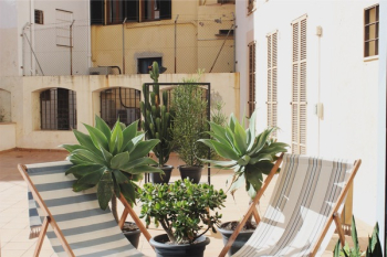 Green Leaf Plants Beside Pool Lounger Chairs Green Leaf Plants Beside Pool Lounger Chairs