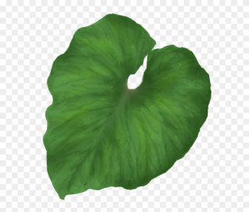 Green Leaf Png - Green Tropical Leaf Png