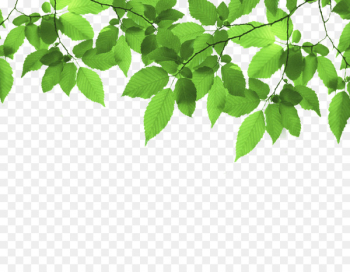 Green Leaf Stock photography - Green leaf frame Green Leaf Stock photography - Green leaf frame