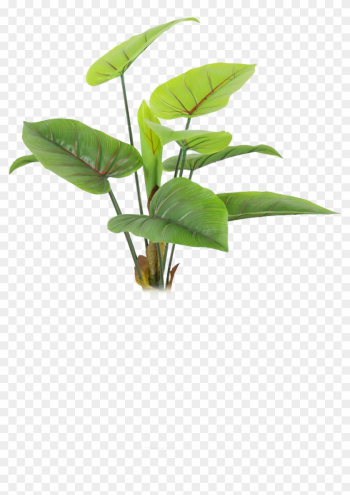 Green Leaf Transparent - Natural Plants Png