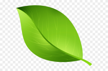 Green Leaf Transparent Png Clip Art Image - Leaf Clipart Transparent Background