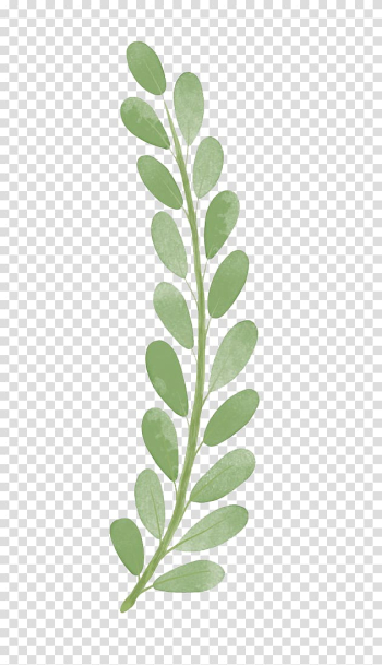 Green leafed , Branch , Watercolor leaves transparent background PNG clipart