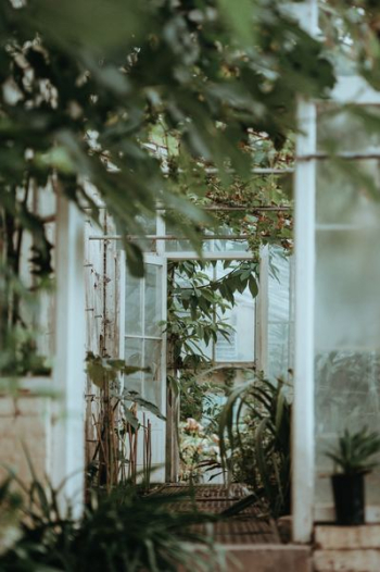 green leafed garden green leafed garden