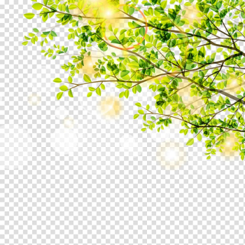 Green leafed plant, Leaf Green Euclidean Tree, Spring trees and sunshine material transparent background PNG clipart