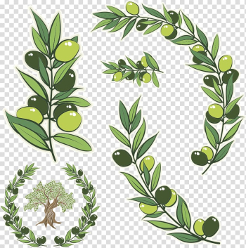 Green leafed plant , Olive branch Olive wreath Illustration, green olive branch transparent background PNG clipart