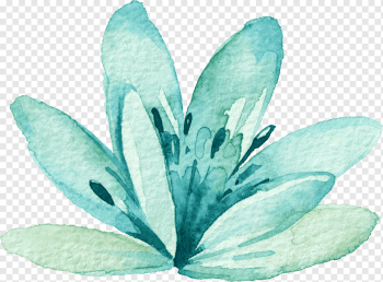 green leafed plant, Watercolor: Flowers Watercolor painting, watercolour, blue, leaf, teal png