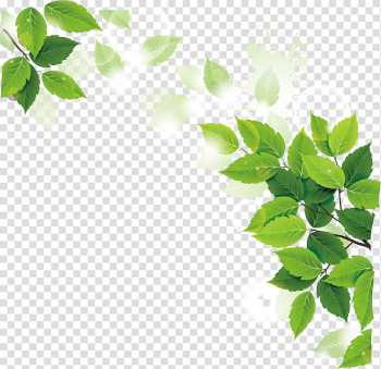 Green leafed plants illustration, Ramadan Iftar Muslim Fasting in Islam Allah, leaves decoration transparent background PNG clipart