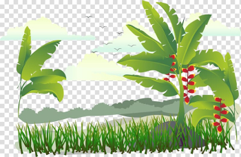 Green leafed tree illustration, Banana Illustration, Island tree transparent background PNG clipart