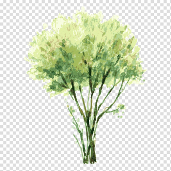 Green leafed tree painting illustration, Watercolor painting Tree Shrub Illustration, tree,Trees transparent background PNG clipart