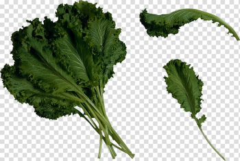 Green leafed vegetables, Juice Lettuce Salad Kale, Salad transparent background PNG clipart