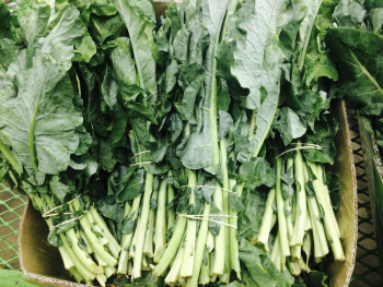 Green Leafy Vegetables Green Leafy Vegetables