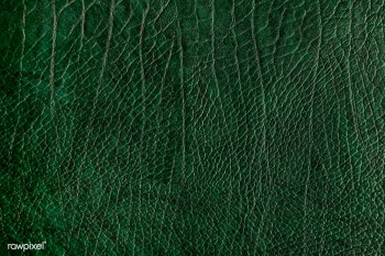 Green leather | Free stock photo - 576787