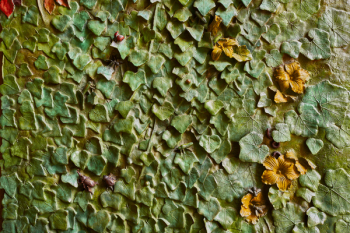 Green Leaves Concrete Wall Green Leaves Concrete Wall