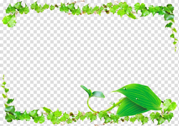 Green leaves framed frame illustration, Leaf Green Vine, Vines Border transparent background PNG clipart