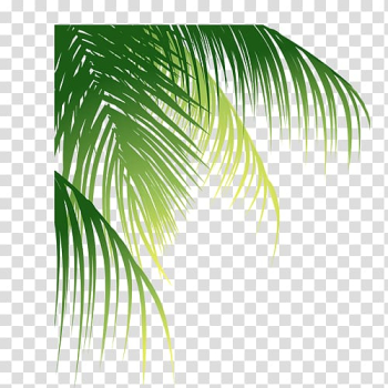 Green leaves graphic, Leaf Arecaceae Euclidean Coconut, Leaves transparent background PNG clipart