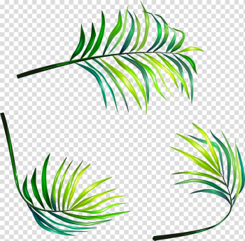 Green leaves illustration, Leaf Euclidean , hand-painted leaves transparent background PNG clipart