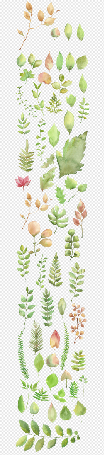 green leaves illustration, Watercolor painting Shading, Watercolor leaves shading material, texture, watercolor Leaves, leaf png